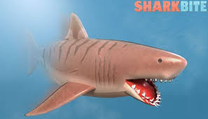 Check spelling or type a new query. Roblox Sharkbite Codes July 2021 Alfintech Computer