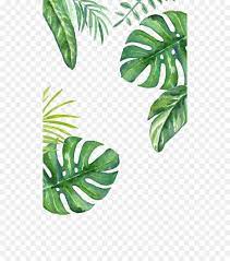 Banana Leaf Wallpaper Green Background Png Is About Is About Leaf Plant Tree Plant Stem Banana Leaf Banana Leaf Wallpaper Green Background Tropis Daun