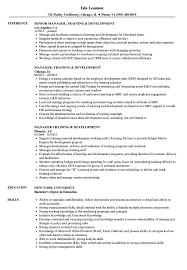 Manager Training Development Resume Samples Velvet Jobs