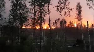 A roundup of the latest news on monday. Skogsbrand I Ljusdals Kommun Utom Kontroll Dn Se