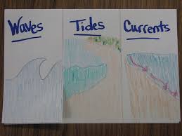 Roxann Krautkramer Ocean Science 6th Grade Science Ocean Lesson Plans