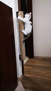 Scratching Post Wall Cat Scratcher Wall Mount Scratching Post Modern Cat Furniture Wall Furniture Sisal Pole Scratcher Sisal Cat Tree Modern Cat Furniture Cat Wall Furniture Diy Cat Scratcher
