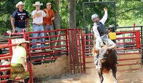 25 Rodeo Quotes Sayings Custom Ink