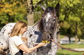 After the Finish Line