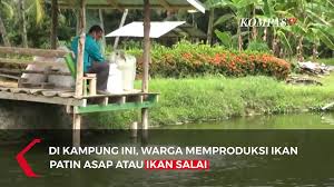 Check spelling or type a new query. Intip Produksi Ikan Asap Di Kampar Riau Penggerak Ekonomi Sejak Tahun 2002 Video Dailymotion