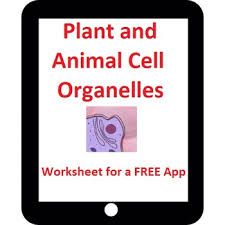 Biology in 1 es saint mary of the hills school. Plant Cells And Animal Cells In 3d Worksheets Teaching Resources Tpt