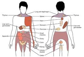 Back Pain After Colonoscopy Is It Serious