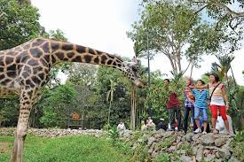 Aneka satwa harga tiket masuk maharani zoo goa. Zoo Melaka Day Night Zoo