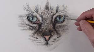 How To Draw Cat Eyes With Colored Pencils Cat Eyes Drawing Cat Drawing Pencil Drawing Images