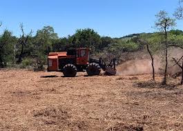 Top Rated Brush Removal Services ...