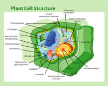 Check spelling or type a new query. Structural Biochemistry Volume 2 Wikibooks Open Books For An Open World