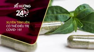 Tuy nhiên, cần khuyến cáo người dân dù là thuốc nam lành tính, nhưng không nên sử dụng tùy tiện. 6eodqrnyhu5cpm