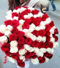 80 Red White Roses Areka Flowers Red And White Roses Flowers For Valentines Day Valentines Flowers