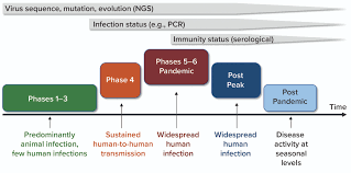 A viral test tells you if you currently have an infection with. Covid 19 Diagnostic Tests Production Gaps Bioprocess Internationalbioprocess International