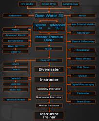 Raid Training Flow Chart Aha Dive Centre