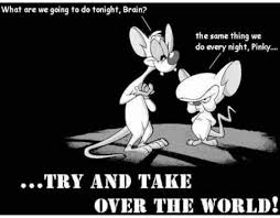 Pinky The Brain Quote Animaniacs Naughty Humor Cartoon