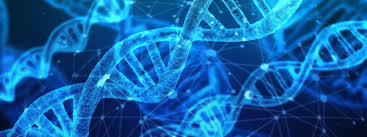 Browse and download hd aesthetic png images with transparent background for free. International Symposium On The Aesthetic Dimensions Of Science The Institute For Human Ecology