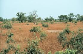 Image result for Tappan Gray 1983 Tappan