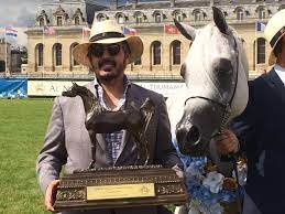 pin on arabian horses news