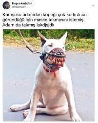 Anlamli Dusundurucu Eglenceli Guzel Komik Konusan Resimler Konusan Resimler Www Kizlarinsirlari Club Komik Seyler Komik Capsler Komik