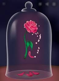 Still laughing she turned and danced to her home. La Rose De La Belle Et La Bete La Belle Et La Bete La Bete Rose