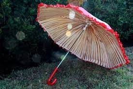 Mushroom Umbrella Tutorial Radmegan Mushroom Costume Stuffed Mushrooms Halloween Costumes