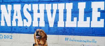 Search for other veterinarians in nashville on the real yellow pages®. Home Music City Pet Sitting