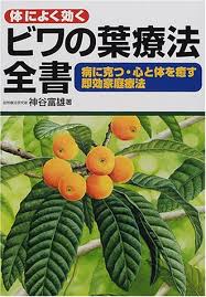 体によく効くビワの葉療法全書 病に克つ 心と体を癒す即効家庭療法 神谷 富雄 本 通販 Amazon