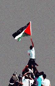 Palestine, area of the eastern mediterranean, comprising parts of modern israel along with the west bank and the gaza strip. 900 Ideas De Palestina En 2021 Palestina Arte Palestina Fotos De Israel