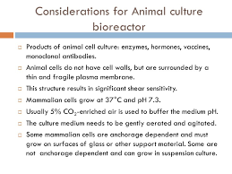 Based on the number of cell division, cell culture can be classified as primary cell culture and cell lines. Choosing The Cultivation Method Ppt Video Online Download
