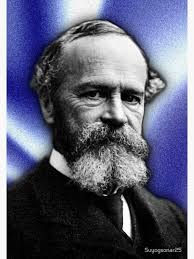 William James Artwork