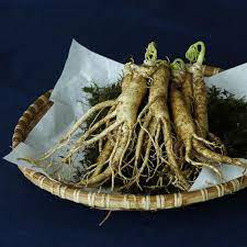 Cara membuat obat kuat tradisional dari telur bebek: Kimo Suplemen Membawa Manfaat Ginseng Merah Korea Dan Ginseng Ashwaganda Lifestyle Liputan6 Com