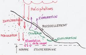 Les sols sont généralement disposés en couches, et souvent la qualité du sol varie considérablement d'une couche à l'autre. Infiltration Ruissellement Le Couple Cle Face A La Secheresse Zoom Nature