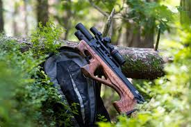 Image result for Lelya