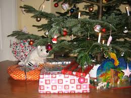 Вставьте недостающую часть сказуемого в passiv: Tannenbaume Werden Abgeholt Radio Waf