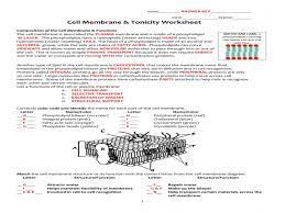 Print our free multiplication sheets and grab the crayons. Cell Membrane Coloring Worksheet Key Promotiontablecovers