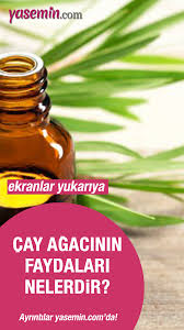 Arifoğlu çay ağacı yağı 10 ml. Haydi Canim E Vitamini Yagi Nerede Satilir Slipknottshirts Net