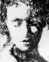 J Ball. (@johnball) • Instagram photos and videos