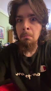 6 Wolf Hybrids in Alaska