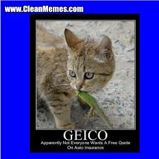 Pin By Clean Memes On Clean Memes Math Memes Math Memes Funny Math Jokes