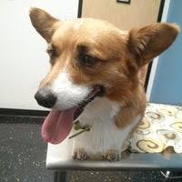 We did not find results for: Belmont Shore Vet Veterinarian In Long Beach