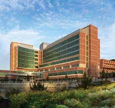 Jobs at uf health shands in gainesville, fl · transport attendant | patient transportation · cash & refund specialist | billing & accounts . Careers Uf Health University Of Florida