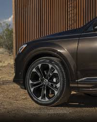 Image result for Tamarind Brown 2025 Q7