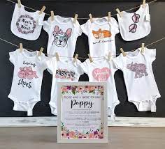 Pink Floral Onesie Decorating Kit Personalized Sign Diy Baby Baby Shower Onesie Decorating Onesie Decorating Onesie Decorating Station