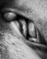 Curreri is board certified by the american board of dermatology and is a fellow of the american academy of dermatology. The Abject Intimacies Of Chris Curreri Momus