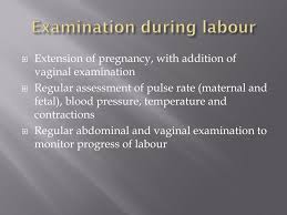Check spelling or type a new query. Ppt Examination Of The Obstetric Patient Powerpoint Presentation Free Download Id 6696076