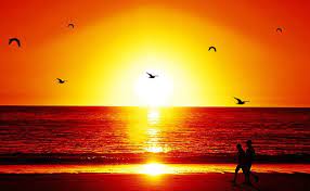 #pemandangan indah#pemandangan senja#pemandangan sawah#senja di tepi desa#sunset#sunrise#panorama indah#sandekala#matahari terbenam Pemandangan Senja Di Tepi Pantai Lukisan Segala Sesuatu Itu Boleh Berlainan Terserah Daripada Keperluan Setiap Individu Luk Pemandangan Pantai Fotografi Alam