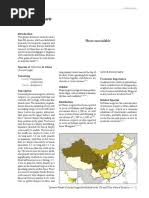 Image result for Barleria pseudosomalia