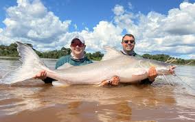 Irmãos que pescaram peixe de 2 metros e que não pode ser consumido esperaram quase 10 anos para pegar animal tão grande