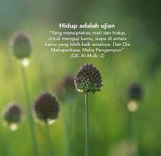 We did not find results for: Masalah Itu Dugaan Dugaan Kata Kata Nasihat Kehidupan Facebook